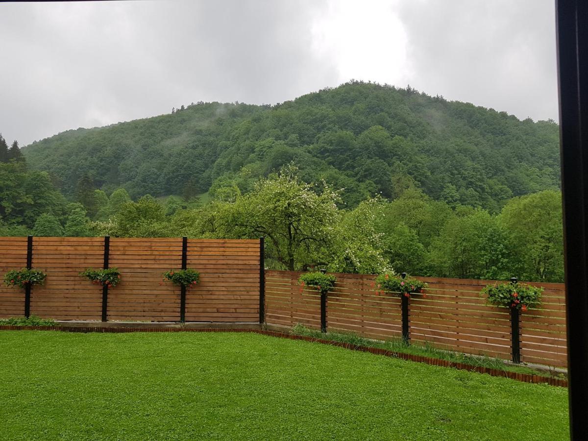 Sura Lu' Vasile. Bed & Breakfast Crivina  Exterior photo